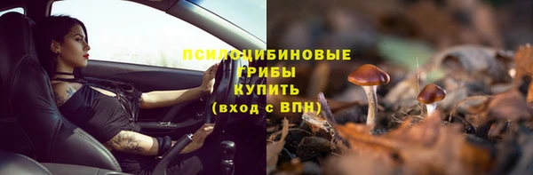 стафф Абаза